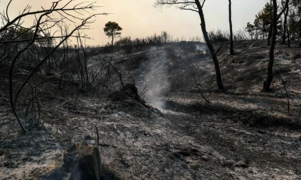 Φωτιές: Θλιβερό ρεκόρ καταστροφών σε όλη την Ελλάδα με 950.000 στρέμματα καμένα